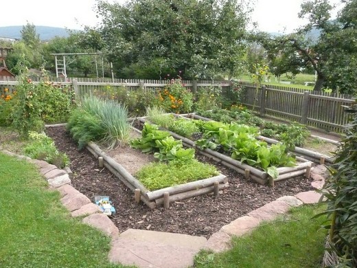 A legszebb konyhakertek