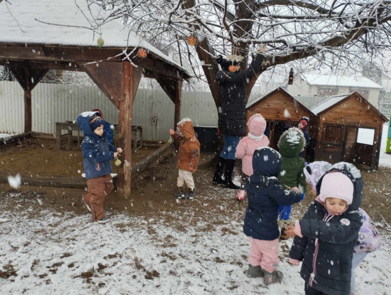 Madáretetés (2025)