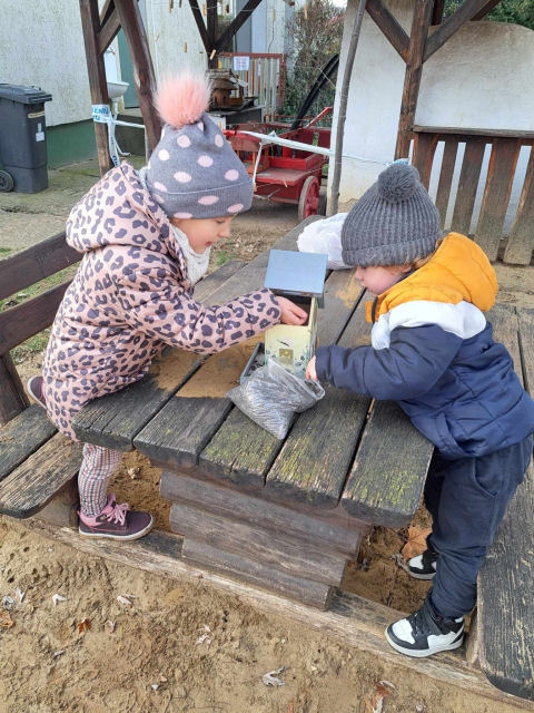 Téli madáretetés (2023)